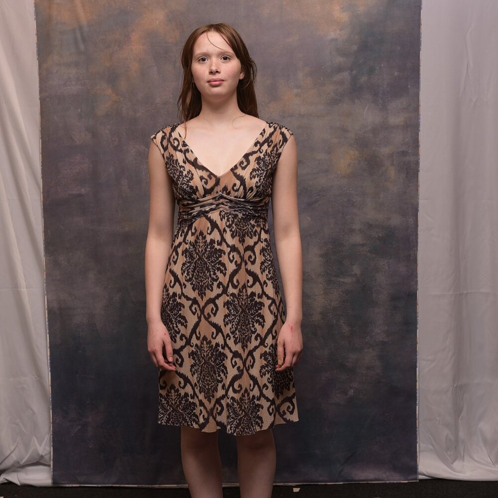 Weston wear dress , Size S, Tan and Brown
